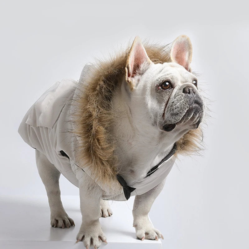 Super Stylish Pup Parka Winter Coat