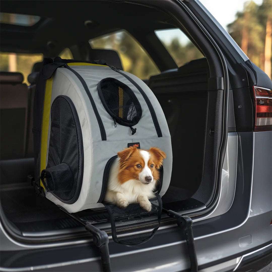 2 in 1 Portable Pet Stroller and Travel Car Seat Carrier for Small Dogs